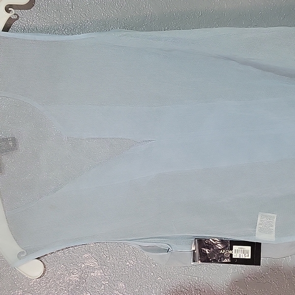 Sheer Top - Picture 3 of 3